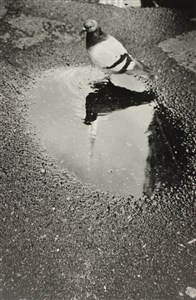 Image description is not available for 2026.007